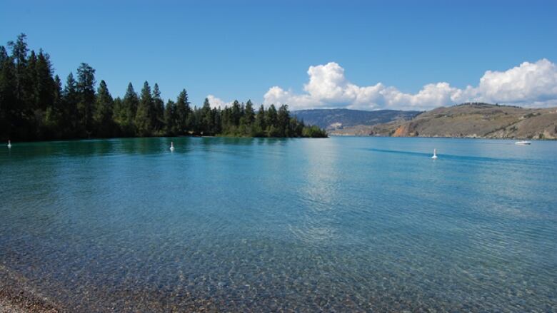 A photo of a pristine late taken from the shore, with blue water, rocks on the ground, and tall green trees in the background. 