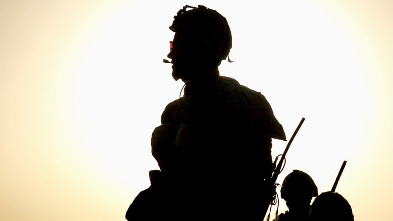 Canadian troops patrol southern Panjwaii district, west of Kandahar, in March 2010 during a clearing operation near the village of Adamzai.