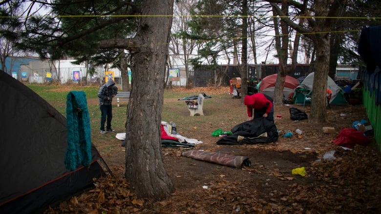 An encampment of people experiencing homelessness. 