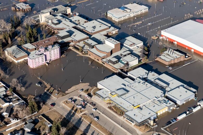 A flooded suburban business area.