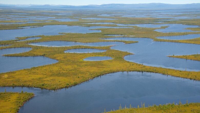 Water, grassy islands.