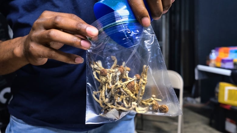 Close-up of a person pouring mushrooms into a zip-top bag.