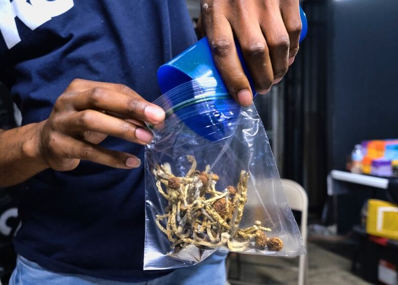 Close-up of a person pouring mushrooms into a zip-top bag.