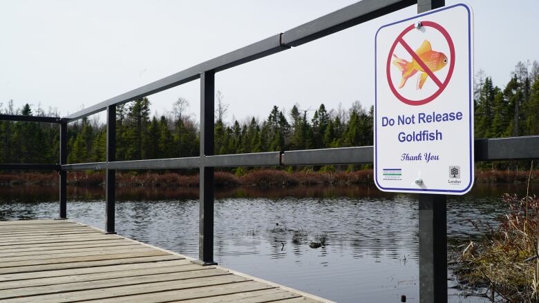 New signs such as this one at Sifton Bog have been placed in environmentally sensitive areas around the city, instructing people not to make their unwanted pets into unwanted pests. 