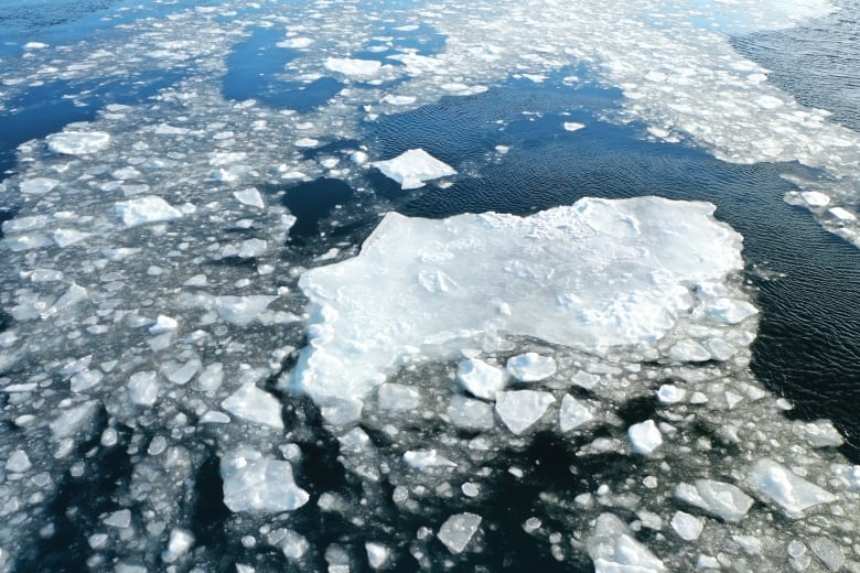 Ice pans in water