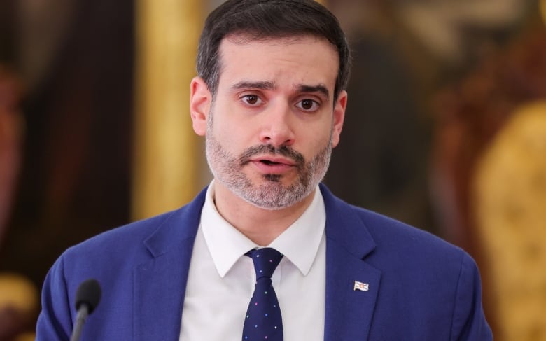 A man with dark hair and a grey beard wearing a blue suit jacket, a white collared shirt and a mostly blue tie.