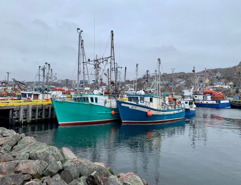 Multiple small fishing boats float in the water of a harbour, with houses dotting the hills in the distance.