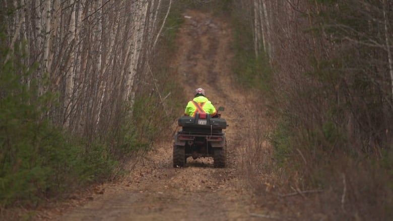 An ATV rider on a trail. 