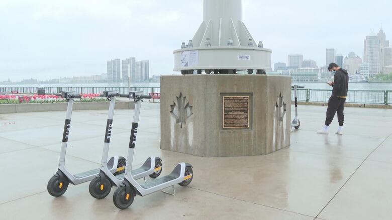 Three Bird scooters are shown on Windsor's riverfront.