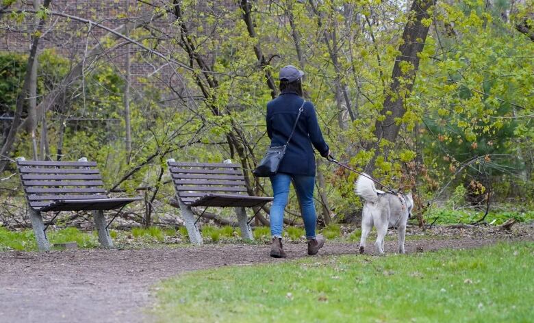 A person wearing a ball cap, jeans, and a shoulder bag walks their dog in a city park in spring.