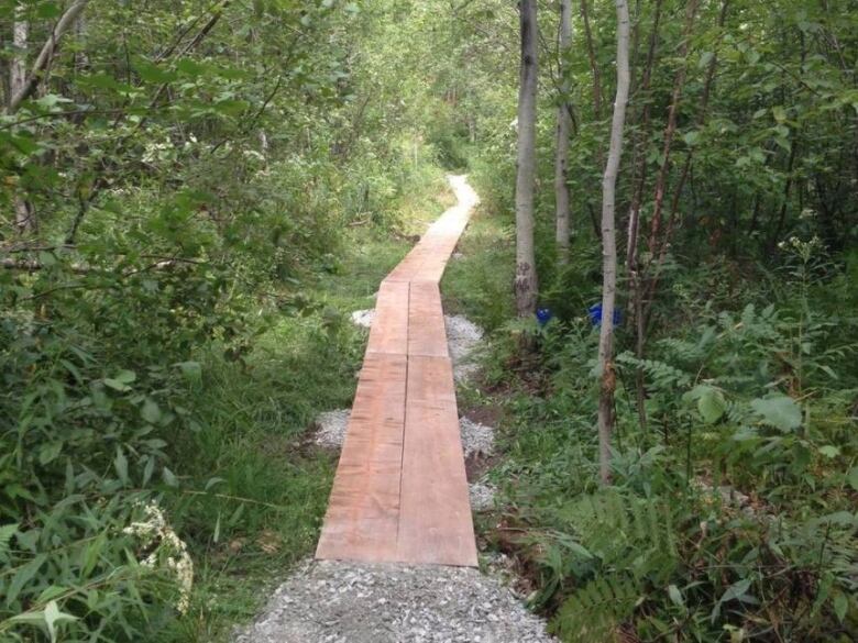 A small wooden bridge cutting through a trail in the woods.