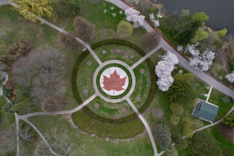 Drone shot of High Park cherry blossoms in bloom on 27 Apr 2021, Again this year, the city has fenced-off the blossoming trees due to COVID-19. See Maple Leaf Garden.