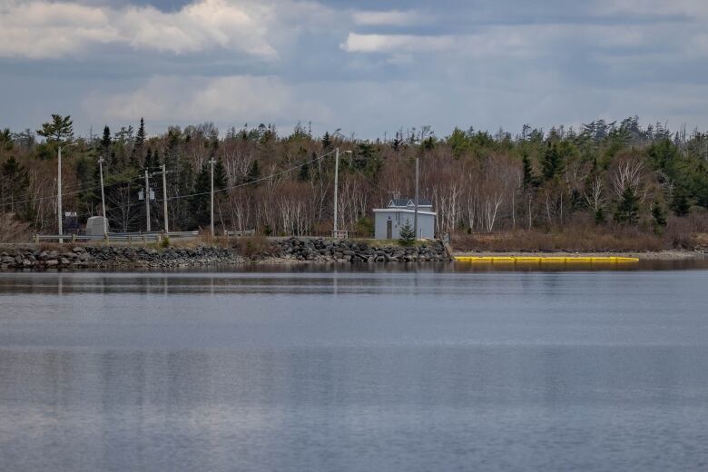 A wide shot of the Marshall Falls reservoir from acrossing the water showing a road on the side and a small building. 