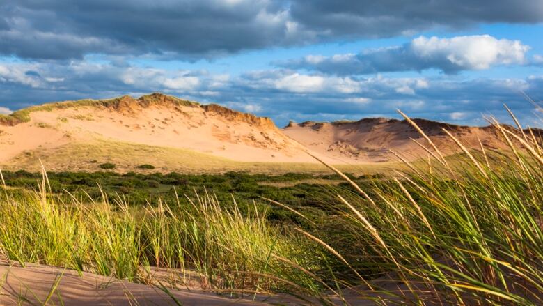 The ecologically sensitive dunes at Greenwich offer some of the most breathtaking views on the Island. 