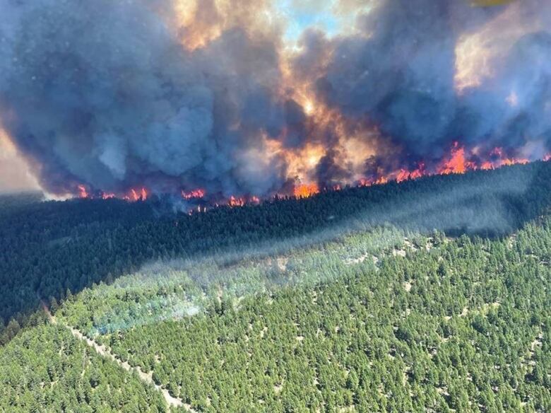 An aerial view of a large wildfire burning in the forest. 