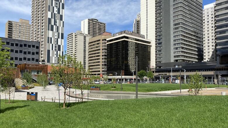 A green park overlooking skyscrapers in downtown Calgary.