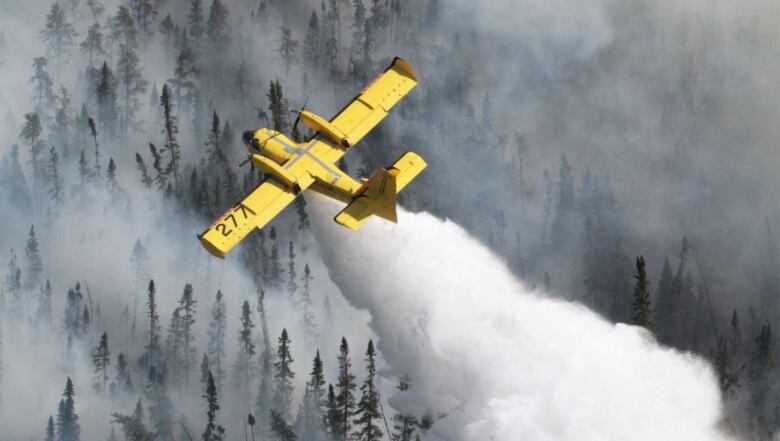 A waterbomber drops water on a forest fire.