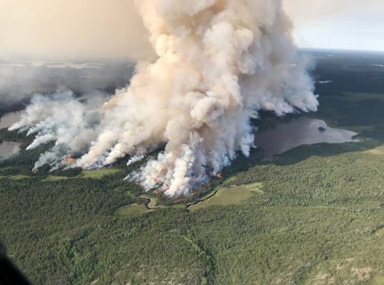 Smoke from a forest fire.