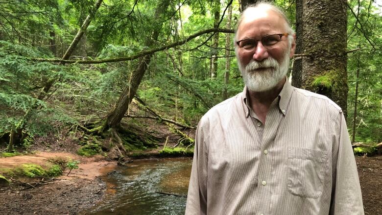 Balding man with glasses and a beard stands in a forest. 