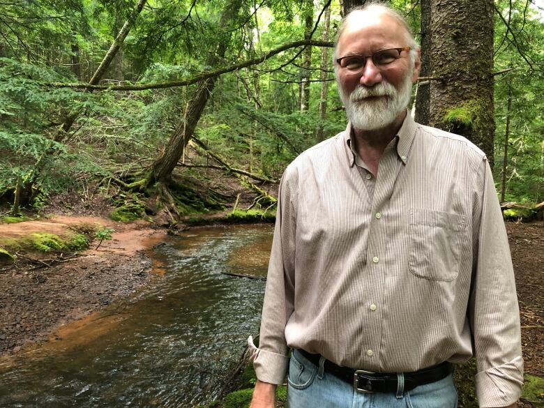 Balding man with glasses and a beard stands in a forest. 