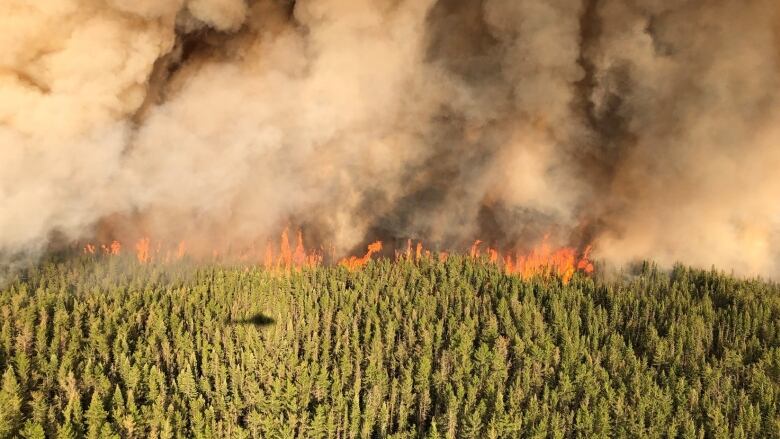 A forest fire burning in northern Ontario.