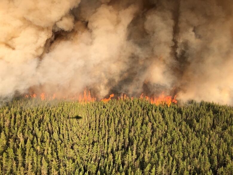 A forest fire burning in northern Ontario.