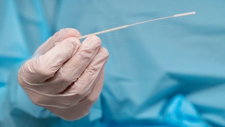 A nurse holds a swab before testing a patient.