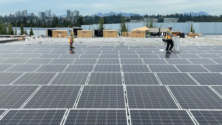 A sea of solar panels stretches towards the horizon, with a few workers in safety vests seen.