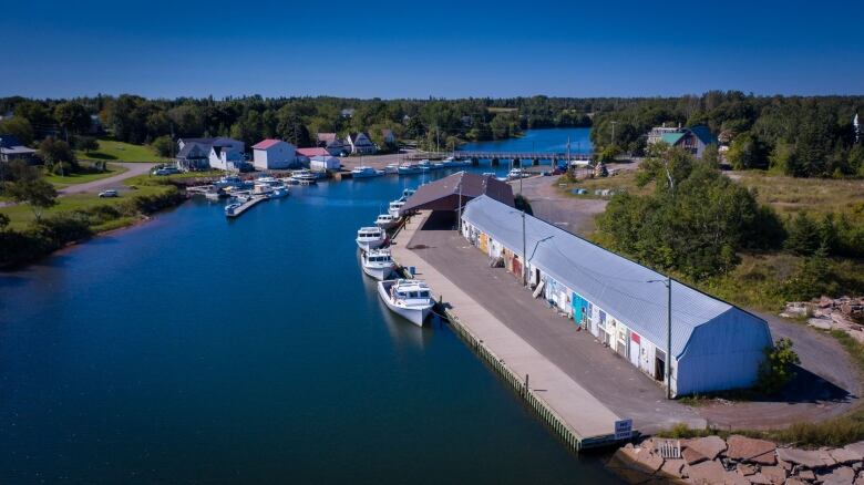 Aerial shot of harbour with about two dozen fishing and recreational boats, with colourful dock buildings and a bridge spanning the mouth of the harbour in the background. 