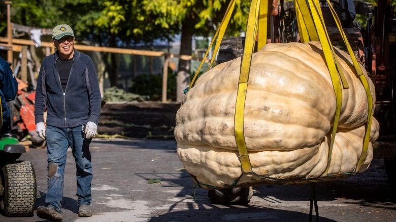 Man walks beside a giant pumpkin being carried by a crane