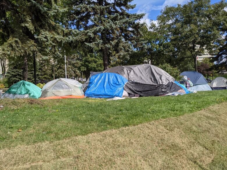 A group of tents are set up on a grassy area in front of pine trees.