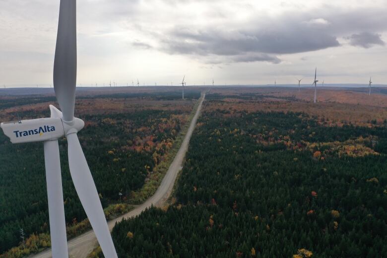 A drone shot of windmills over forests. A windmill is close in the foreground left of frame, several others can be seen in the distance.