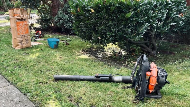 A leaf blower lies on a lawn