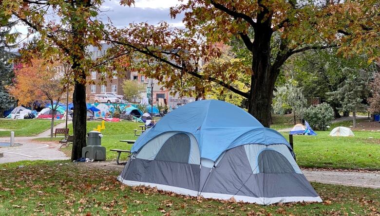 A tent in a park