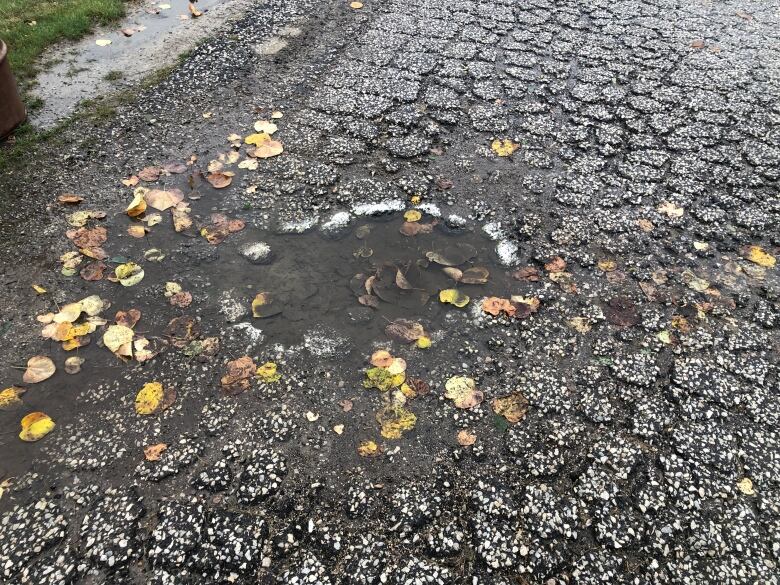 A pothole on broken pavement along the riverfront bike trail.