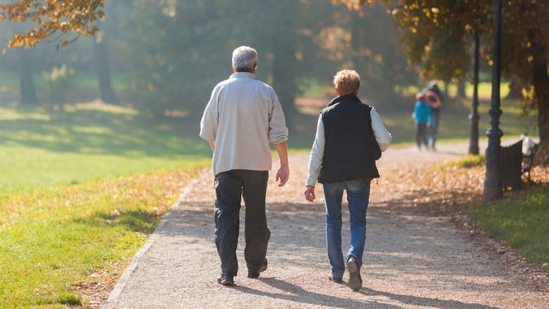 A couple is photographed from behind while walking along a path in a park. The leaves on the trees are turning yellow.