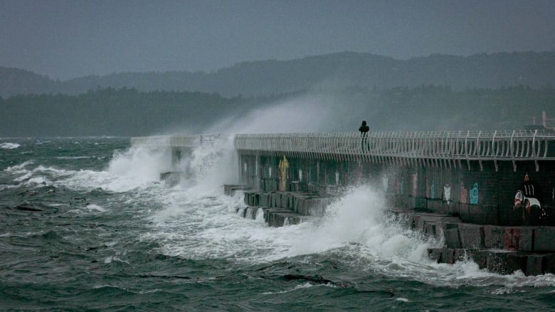 A person in silhouette stands at the sea's edge as waves crash into a breakwater.