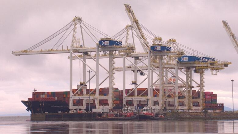 Delta is home to the Roberts Bank Terminal, and expansion plans over the coming years will see millions more containers move through the Port of Vancouver annually.