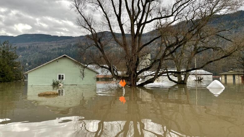 Flooding in Sumas Prairie, Abbotsford, B.C., where a dike that was surveyed in 2015 as inadequate by the government breached.