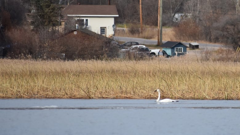 A view of a house on the shore of Lake Athabasca where Fort Chipewyan is located.