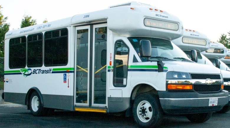 A row of small white buses, with 