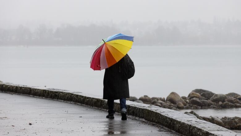 A person in a long black coat walks along the seawall with a rainbow umbrella. 