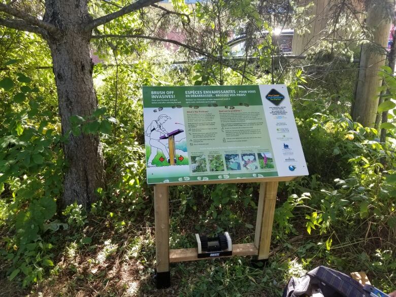 A trail placard is visible against a wooded landscape. Beneath, there are bristled brushes at ankle level, mounted against the plaque.  