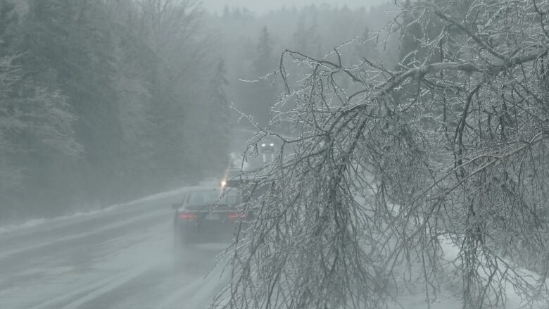 Cars are seen driving on a wet road. The branch of a tree, coated in ice, is seen in the foreground.