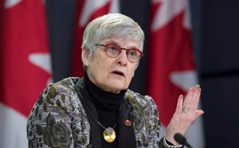 Senator Patricia Bovey is pictured at a press conference. Canadian flags sit in the background.