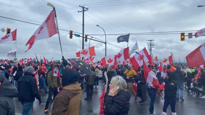 A big crowd holds Canadian flags.