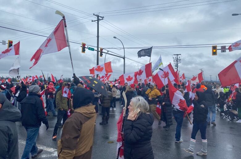 A big crowd holds Canadian flags.