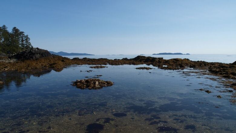 Mound of rocks in the middle of an intertidal pool