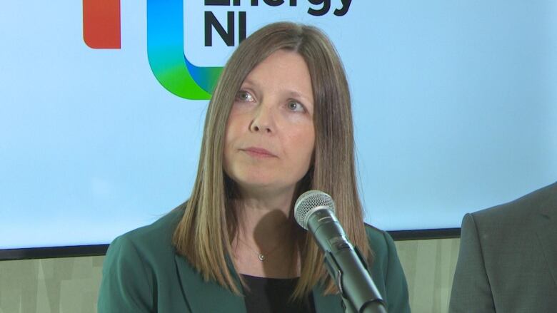 A woman with brown hair and a brown blazer sitting in front of a screen with the Energy NL logo.