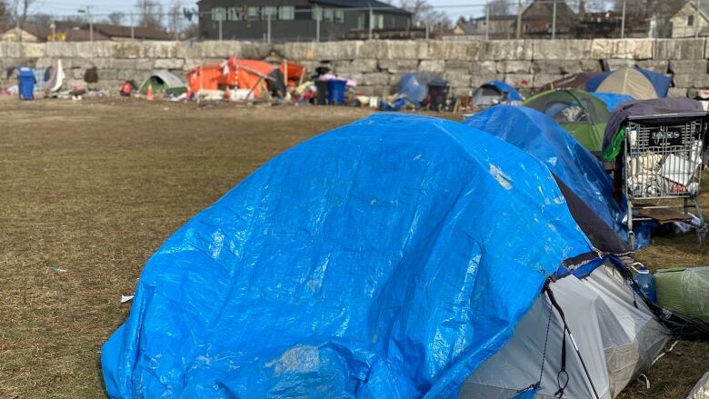 Several tents, including a blue tent as a focus, pictured on a plot of land.